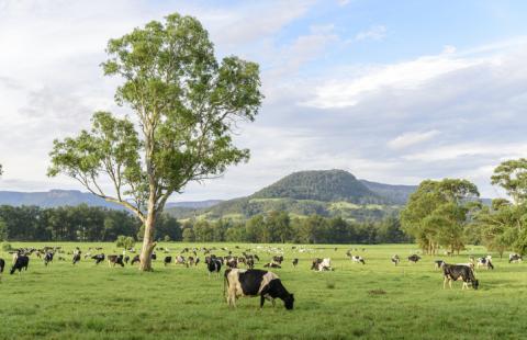 AgQuip Highlights Aging Small Farm Business Owners’ Issues